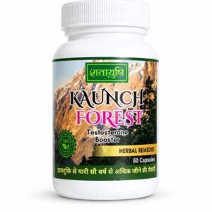 Kaunch Forest