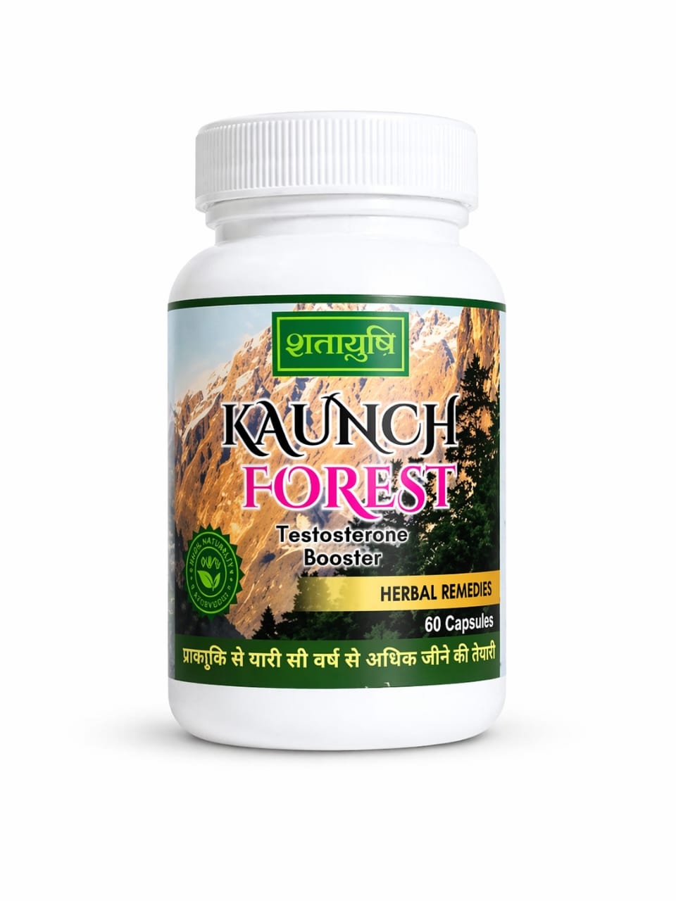Kaunch Forest