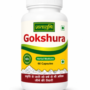 Gokshura